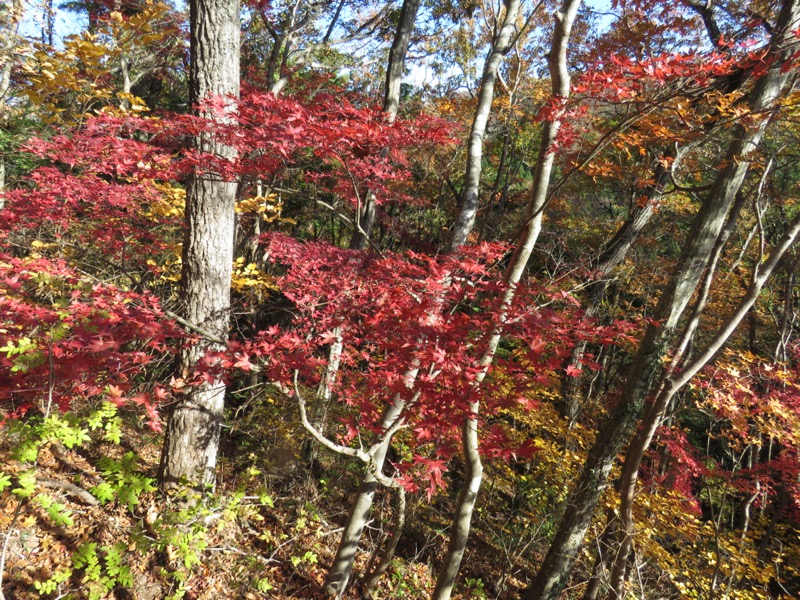 奥久慈・男体山